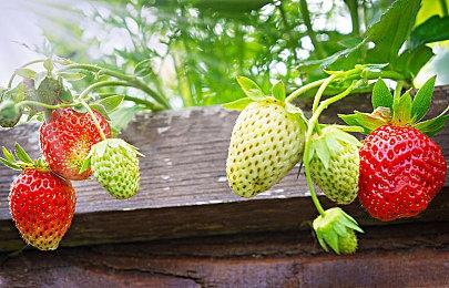 双点校园发布免费春季更新！ 畅玩复活节彩蛋寻宝挑战